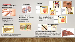 Oxicodona
FARMACOCINÉTICA
Administración
Farmacodinamia
Mecanismo de acción:
agonista de los
receptores u y k
Distribución: se
fija a proteínas en
un 38-45%.
Metabolismo
se metaboliza en productos con
menor actividad analgésica
Excreción
Efectos:
Usos terapéuticos: tx
del dolor moderado o
intenso
Efectos adversos:
Interacciones medicamentosas:
El uso prolongado o crónico de oxicodona
que contenga paracetamol puede causar
daños hepáticos graves.
 