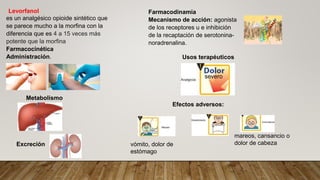 Levorfanol
es un analgésico opioide sintético que
se parece mucho a la morfina con la
diferencia que es 4 a 15 veces más
potente que la morfina
Farmacocinética
Administración.
Excreción
Metabolismo
Farmacodinamia
Mecanismo de acción: agonista
de los receptores u e inhibición
de la recaptación de serotonina-
noradrenalina.
Usos terapéuticos
Efectos adversos:
severo
vómito, dolor de
estómago
mareos, cansancio o
dolor de cabeza
 