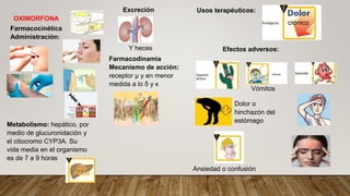 OXIMORFONA
Farmacocinética
Administración:
Metabolismo: hepático, por
medio de glucuronidación y
el citocromo CYP3A. Su
vida media en el organismo
es de 7 a 9 horas
Excreción
Farmacodinamia
Mecanismo de acción:
receptor μ y en menor
medida a lo δ y κ
Y heces
Usos terapéuticos:
Efectos adversos:
cronico
Ansiedad o confusión
Vómitos
Dolor o
hinchazón del
estómago
 