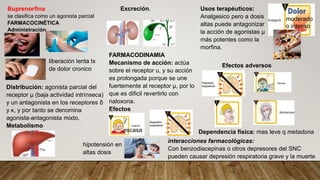 Buprenorfina
se clasifica como un agonista parcial
FARMACOCINÉTICA
Administración.
Distribución: agonista parcial del
receptor μ (baja actividad intrínseca)
y un antagonista en los receptores δ
y κ, y por tanto se denomina
agonista-antagonista mixto.
Metabolismo
liberación lenta tx
de dolor cronico
Excreción.
FARMACODINAMIA
Mecanismo de acción: actúa
sobre el receptor u, y su acción
es prolongada porque se une
fuertemente al receptor μ, por lo
que es dificil revertirlo con
naloxona.
Efectos
Usos terapéuticos:
Analgesico pero a dosis
altas puede antagonizar
la acción de agonistas μ
más potentes como la
morfina.
escasa
hipotensión en
altas dosis
Efectos adversos
moderado
o intenso
Dependencia física: mas leve q metadona
interacciones farmacológicas:
Con benzodiacepinas o otros depresores del SNC
pueden causar depresión respiratoria grave y la muerte
 