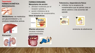 Tapentadol
FARMACOCINÉTICA
Administración.
Metabolismo: se metaboliza
por glucoronidación y no
produce metabolitos activos
Excreción
FARMACODINAMIA
Mecanismo de acción:
 afinidad moderada por el
receptor opioide μ
 acción inhibidora de la
recaptación de noradrenalina.
Usos terapéuticos:
Efectos adversos:
escasas molestias
gastrointestinales
moderado
a intenso
Tolerancia y dependencia física:
 inhibidor de la recaptura de
noradrenalina que se piensa crea un
efecto adictivo a las acciones del
opioide
síndrome de abstinencia
 