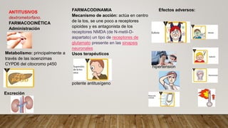 ANTITUSIVOS
dextrometorfano.
FARMACOCINÉTICA
Administración
Metabolismo: principalmente a
través de las isoenzimas
CYPD6 del citocromo p450
Excreción
FARMACODINAMIA
Mecanismo de acción: actúa en centro
de la tos, se une poco a receptores
opioides y es antagonista de los
receptores NMDA (de N-metil-D-
aspartato) un tipo de receptores de
glutamato presente en las sinapsis
neuronales
Usos terapéuticos
Efectos adversos:
potente antitusígeno
hipertension
 