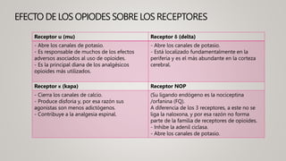 EFECTO DE LOS OPIODES SOBRE LOS RECEPTORES
Receptor u (mu) Receptor δ (delta)
- Abre los canales de potasio.
- Es responsable de muchos de los efectos
adversos asociados al uso de opíoides.
- Es la principal diana de los analgésicos
opioides más utilizados.
- Abre los canales de potasio.
- Está localizado fundamentalmente en la
periferia y es el más abundante en la corteza
cerebral.
Receptor κ (kapa) Receptor NOP
- Cierra los canales de calcio.
- Produce disforia y, por esa razón sus
agonistas son menos adictógenos.
- Contribuye a la analgesia espinal.
(Su ligando endógeno es la nociceptina
/orfanina (FQ).
A diferencia de los 3 receptores, a este no se
liga la naloxona, y por esa razón no forma
parte de la familia de receptores de opioides.
- Inhibe la adenil ciclasa.
- Abre los canales de potasio.
 