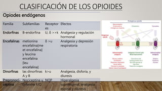 CLASIFICACIÓN DE LOS OPIOIDES
Opiodes endógenos
Familia Subfamilias Receptor
es
Efectos
Endorfinas B-endorfina U, δ >>k Analgesia y regulación
hormonal
Encefalinas metionina
encefalina[me
et encefalina]
y leucina
encefalina
[leu
encefalina]
δ >u Analgesia y depresión
respiratoria
Dinorfinas las dinorfinas
A y B
k>u Analgesia, disforia, y
diuresis
Prepronoci-
ceptina
Nociceptina u
orfanina F/Q
NOP Hiperalgesia
supraespinal, analgesia
espinal y diuresis
 
