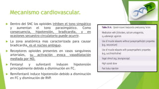 Mecanismo cardiovascular.
 Dentro del SNC los opioides inhiben el tono simpático
y aumentan el tono parasimpático. Como
consecuencia, hipotensión, bradicardia, y en
ocasiones secuestro circulatorio puede ocurrir.
 La zona anatómica mas caracterizada para causar
bradicardia, es el núcleo ambiguo.
 Receptores opioides presentes en vasos sanguíneos
arteriales, su activación evoca vasodilatación
mediada por NO.
 Fentanyl y sufentanil inducen hipotensión
principalmente debido a disminución en FC.
 Remifentanil induce hipotensión debido a disminución
en FC y disminución de RVP.
 