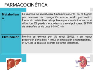 FARMACOCINÉTICA
Metabolism
o
La morfina se metaboliza fundamentalmente en el hígado
por procesos de conjugación con el ácido glucorónico,
formando metabolitos más polares que son eliminados por el
riñón. Un 5% puede metabolizarse a nivel pulmonar. El TVM
de la morfina es de unos 80-140 min
Eliminación Morfina se excreta por vía renal (85%), y en menor
proporción por la bilis(7-10%) en circulación enterohepática.
9-12% de la dosis se excreta en forma inalterada.
 