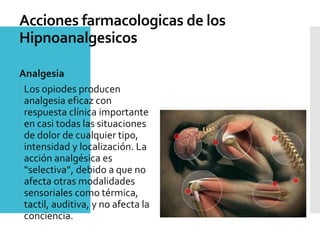 Acciones farmacologicas de los
Hipnoanalgesicos
Analgesia
Los opiodes producen
analgesia eficaz con
respuesta clínica importante
en casi todas las situaciones
de dolor de cualquier tipo,
intensidad y localización. La
acción analgésica es
“selectiva”, debido a que no
afecta otras modalidades
sensoriales como térmica,
tactil, auditiva, y no afecta la
conciencia.
 