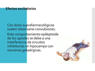 Efectos excitatorios
Con dosis suprafarmacológicas
suelen observarse convulsiones.
Este comportamiento epileptoide
de los opiodes se debe a una
interferencia de circuitos
inhibitorios en hipocampo con
neuronas gabaérgicas.
 