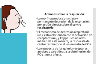 Acciones sobre la respiración:
La morfina produce una clara y
permanente depresión de la respiración,
por acción directa sobre el centro
respiratorio.
El mecanismo de depresión respiratoria
(u2), está relacionado con la activación de
receptores mu, y kappa. Los opiodes
inhiben de esta manera, la respuesta del
centro respiratorio al incremento de CO2.
La respuesta de los quimiorreceptores
aórticos y carotídeos a la disminución de
PO2 , no se afecta.
 