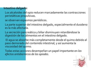 Intestino delgado:
Los alcaloides del opio reducen marcadamente las contracciones
peristálticas propulsivas.
se observan espasmos periódicos.
La parte superior del intestino delgado, especialmente el duodeno
es la más afectada.
La secreción pancreática y biliar disminuyen retardándose la
digestión de los alimentos en el intestino delgado.
 El agua se absorbe más completamente desde el quimo debido al
paso demorado del contenido intestinal, y así aumenta la
viscosidad del quimo.
Todas estas acciones desempeñan un papel importante en los
efectos antidiarreicos de los opiodes.
 