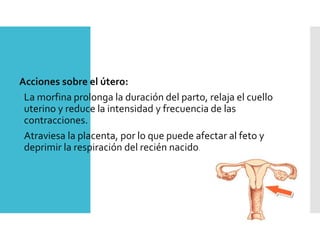 Acciones sobre el útero:
La morfina prolonga la duración del parto, relaja el cuello
uterino y reduce la intensidad y frecuencia de las
contracciones.
Atraviesa la placenta, por lo que puede afectar al feto y
deprimir la respiración del recién nacido.
 