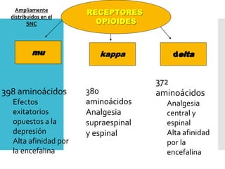 mu kappa deltamu
RECEPTORES
OPIOIDES
Ampliamente
distribuidos en el
SNC
398 aminoácidos
Efectos
exitatorios
opuestos a la
depresión
Alta afinidad por
la encefalina
372
aminoácidos
Analgesia
central y
espinal
Alta afinidad
por la
encefalina
380
aminoácidos
Analgesia
supraespinal
y espinal
 