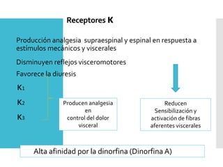 Receptores κ
Producción analgesia supraespinal y espinal en respuesta a
estímulos mecánicos y viscerales
Disminuyen reflejos visceromotores
Favorece la diuresis
κ1
κ2
κ3
Alta afinidad por la dinorfina (Dinorfina A)
Producen analgesia
en
control del dolor
visceral
Reducen
Sensibilización y
activación de fibras
aferentes viscerales
 
