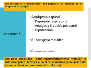 Receptores δ
Analgesia espinal
Depresión respiratoria
Analgesia inducida por estrés
Hipotensión
δ1 Analgesia raquídea
δ2 Analgesia Supra raquídea
Son receptores “acompañantes” que potencian las acciones de los
receptores mu y kappa.
Son poco conocidos , pero característicamente modulan la
antinocicepciòn térmica a nivel de la médula (percepción del
estímulo térmico como sensación dolorosa).
 