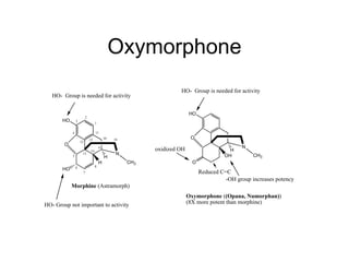 Oxymorphone 
