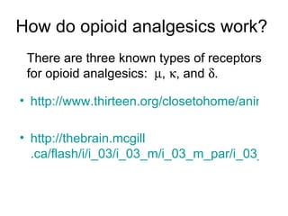 How do opioid analgesics work? http://www.thirteen.org/closetohome/animation/opi-anim2-main.html http: //thebrain . mcgill .ca/flash/i/i_03/i_03_m/i_03_m_par/i_03_m_par_heroine.html#drogues There are three known types of receptors for opioid analgesics:   ,   , and   .   