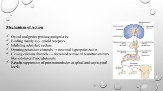 Comprehensive Overview of Opioid Analgesics and Antagonists in Pain ...