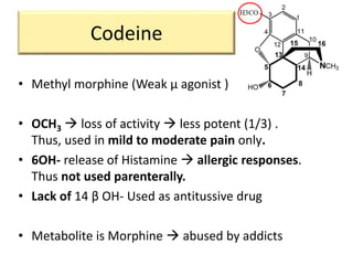 Codeine
• Methyl morphine (Weak µ agonist )
• OCH3  loss of activity  less potent (1/3) .
Thus, used in mild to moderate pain only.
• 6OH- release of Histamine  allergic responses.
Thus not used parenterally.
• Lack of 14 β OH- Used as antitussive drug
• Metabolite is Morphine  abused by addicts
 