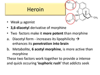 Heroin
• Weak μ agonist
• 3,6-diacetyl derivative of morphine
• Two factors make it more potent than morphine
a. Diacetyl form - increases its lipophilicity 
enhances its penetration into brain
b. Metabolite, 6 acetyl morphine, is more active than
morphine
These two factors work together to provide a intense
and quick occuring ‘euphoric rush’ that addicts seek
 