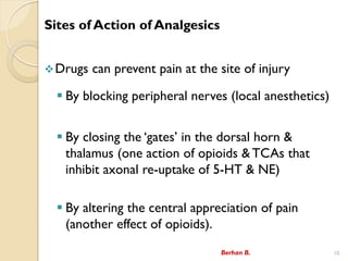 Sites of Action of Analgesics
?Drugs can prevent pain at the site of injury
? By blocking peripheral nerves (local anesthetics)
? By closing the ?gates? in the dorsal horn &
thalamus (one action of opioids & TCAs that
inhibit axonal re-uptake of 5-HT & NE)
? By altering the central appreciation of pain
(another effect of opioids).
Berhan B. 10
 