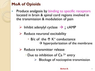 MoA of Opioids
? Produce analgesia by binding to specific receptors
located in brain & spinal cord regions involved in
the transmission & modulation of pain
? Inhibit adenylyl cyclase ?  cAMP
? Reduce neuronal excitability
? B/c of the ? K+ conductance
? hyperpolarization of the membrane
? Reduce transmitter release
? Due to inhibition of Ca 2+ entry
? Blockage of nociceptive transmission
Berhan B. 19
 
