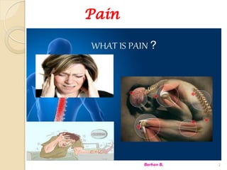 Pain
Berhan B. 2
 