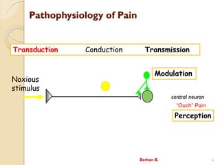 Pathophysiology of Pain
Noxious
stimulus
Transduction Conduction Transmission
Modulation
Ouch Pain
Perception
central neuron
Berhan B. 6
 