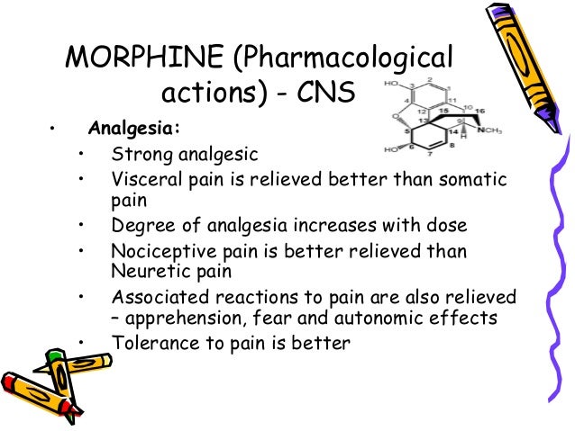 morphine mechanism of action