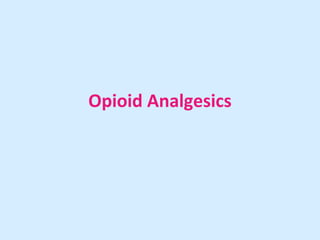 Opioid Analgesics 