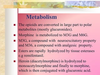 Metabolism
 The opioids are converted in large part to polar
metabolites (mostly glucuronides).
 Morphine is metabolized to M3G and M6G.
 M3G, a compound with neuroexcitatory property
and M36, a compound with analgesic property.
 Esters are rapidly hydrolyzed by tissue esterases
e.g remifentanil.
 Heroin (diacetylmorphine) is hydrolyzed to
monoacetylmorphine and finally to morphine,
which is then conjugated with glucuronic acid.
 