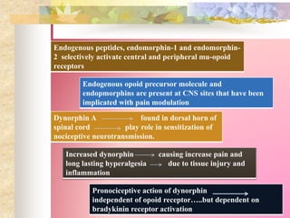 Dynorphin A found in dorsal horn of
spinal cord play role in sensitization of
nociceptive neurotransmission.
Increased dynorphin causing increase pain and
long lasting hyperalgesia due to tissue injury and
inflammation
Endogenous opoid precursor molecule and
endopmorphins are present at CNS sites that have been
implicated with pain modulation
Pronociceptive action of dynorphin
independent of opoid receptor…..but dependent on
bradykinin receptor activation
Endogenous peptides, endomorphin-1 and endomorphin-
2 selectively activate central and peripheral mu-opoid
receptors
 