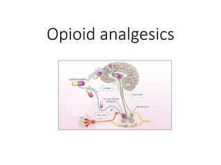 Opioid analgesics
 