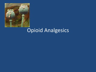 Opioid Analgesics
 