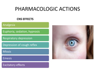 PHARMACOLOGIC ACTIONS
Analgesia
Euphoria, sedation, hypnosis
Respiratory depression
Depression of cough reflex
Miosis
Emesis
Excitatory effects
CNS EFFECTS
 