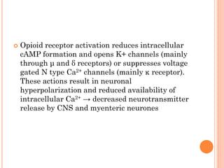  Opioid receptor activation reduces intracellular
cAMP formation and opens K+ channels (mainly
through μ and δ receptors) or suppresses voltage
gated N type Ca2+ channels (mainly κ receptor).
These actions result in neuronal
hyperpolarization and reduced availability of
intracellular Ca2+ → decreased neurotransmitter
release by CNS and myenteric neurones
 