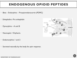 DEPARTMENT OF PHARMACOLOGY
8
ENDOGENOUS OPIOID PEPTIDES
• Beta – Endorphins – Proopiomelanocortin (POMC)
• Enkephalins -Pro enkephalin
• Dynorphins – A and B
• Nociceptin / Orphanin.
• Endomorphins 1 and 2
• Secreted naturally by the body for pain response.
 