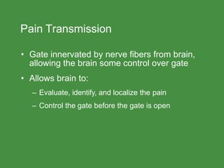 Pain Transmission
• Gate innervated by nerve fibers from brain,
allowing the brain some control over gate
• Allows brain to:
– Evaluate, identify, and localize the pain
– Control the gate before the gate is open
 