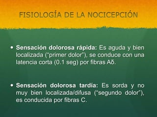  Sensación dolorosa rápida: Es aguda y bien
localizada (“primer dolor”), se conduce con una
latencia corta (0.1 seg) por fibras Aδ.
 Sensación dolorosa tardía: Es sorda y no
muy bien localizada/difusa (“segundo dolor”),
es conducida por fibras C.
 