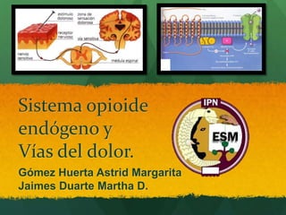 Sistema opioide
endógeno y
Vías del dolor.
Gómez Huerta Astrid Margarita
Jaimes Duarte Martha D.
 