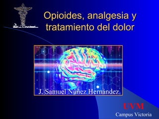 Opioides, analgesia yOpioides, analgesia y
tratamiento del dolortratamiento del dolor
J. Samuel Núñez Hernández
UVM
Campus Victoria
 