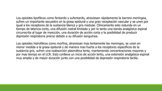 Los opioides lipofilicos como fentanilo y sufentanilo, atraviesan rápidamente la barrera meníngea,
sufren un importante secuestro en la grasa epidural y una gran receptación vascular y se unen por
igual a los receptores de la sustancia blanca y gris medular. Clínicamente esto redunda en un
tiempo de latencia corto, una difusión rostral limitada y por lo tanto una banda analgésica espinal
circunscrita al lugar de inyección, una duración de acción corta y la posibilidad de producir
depresión respiratoria precoz debido a su difusión sanguínea.
Los opioides hidrofilicos como morfina, atraviesan mas lentamente las meninges, se unen en
menor medida a la grasa epidural y de manera mas fuerte a los receptores específicos de la
sustancia gris, sufren una reabsorción plasmática lenta, manteniendo concentraciones mayores y
por mas tiempo en el LCR. Esto conlleva un inicio de acción lento, una extensión analgésica espinal
muy amplia y de mayor duración junto con una posibilidad de depresión respiratoria tardía.
 