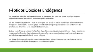 Péptidos Opioides Endógenos
Las endorfinas, péptidos opioides endógenos, se dividen en tres tipos que tienen un origen en genes
totalmente distintos: encefalinas, dimorfinas y beta-endorfinas.
Los dos primeros se producen a nivel de la sinapsis, con lo cual su efecto es breve por los mecanismos de
receptación e inhibición a nivel sináptico, por lo tanto la analgesia que se obtiene con la liberación de
encefalinas y dimorfinas no es más allá de tres minutos.
La beta-endorfina se produce en la hipófisis, llega al torrente circulatorio, se distribuye y llega a los distintos
receptores. Por lo tanto, el periodo de acción es mucho mas largo, se inactivan muy lentamente y dan un
periodo de analgesia alrededor de treinta minutos.
Las drogas derivadas de la morfina producen analgesia por interaccion con uno o mas de los receptores
opioides imitando la acción de los péptidos opioides endógenos.
 