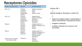 Receptor ORL 1
Agonista Endógeno: Nociceptina u orfanina FQ
• Bloquea la analgesia opioide y aquella ligada al
estrés. (Administración intracerebroventricular)
• Analgésica (intratecal)
• Ansiolítica, alteración de la memoria y del
aprendizaje.
Receptores Opioides
 