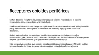 Receptores opioides periféricos
Se han descripto receptores tisulares periféricos para opioides regulados por el sistema
inmunológico como respuestas a una injuria local.
En el SNP se han encontrado receptores opioides en fibras nerviosas sensoriales y simpáticas de
piel y articulaciones, en los plexos submucosos del intestino, vejiga y en los conductos
deferentes.
A nivel gastrointestinal los receptores opioides se expresan en condiciones normales
(constitutivos), pero en otras estructuras como en la piel y en las articulaciones sólo se expresan
después de una lesión tisular y en presencia de cambios inflamatorios.
Esta perspectiva permitiría que opioides poco liposolubles administrados por infiltración podrían
bloquear las vías del dolor sin pasar a la circulación y evitando los efectos adversos.
 