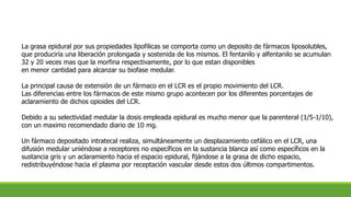 La grasa epidural por sus propiedades lipofilicas se comporta como un deposito de fármacos liposolubles,
que produciría una liberación prolongada y sostenida de los mismos. El fentanilo y alfentanilo se acumulan
32 y 20 veces mas que la morfina respectivamente, por lo que estan disponibles
en menor cantidad para alcanzar su biofase medular.
La principal causa de extensión de un fármaco en el LCR es el propio movimiento del LCR.
Las diferencias entre los fármacos de este mismo grupo acontecen por los diferentes porcentajes de
aclaramiento de dichos opioides del LCR.
Debido a su selectividad medular la dosis empleada epidural es mucho menor que la parenteral (1/5-1/10),
con un maximo recomendado diario de 10 mg.
Un fármaco depositado intratecal realiza, simultáneamente un desplazamiento cefálico en el LCR, una
difusión medular uniéndose a receptores no específicos en la sustancia blanca así como específicos en la
sustancia gris y un aclaramiento hacia el espacio epidural, fijándose a la grasa de dicho espacio,
redistribuyéndose hacia el plasma por receptación vascular desde estos dos últimos compartimentos.
 