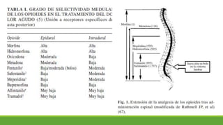 opioides-170802000138 (1).pdf