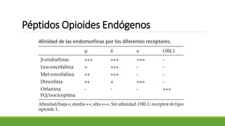 Péptidos Opioides Endógenos
 