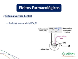  Sistema Nervoso Central
– Analgesia supra-espinhal (P.A.G)
18
Efeitos Farmacológicos
 