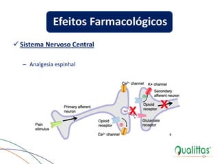  Sistema Nervoso Central
– Analgesia espinhal
19
Efeitos Farmacológicos
 