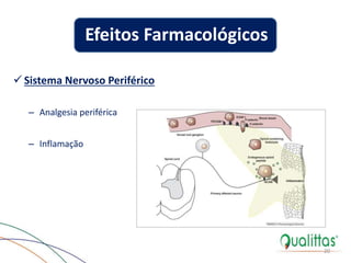  Sistema Nervoso Periférico
– Analgesia periférica
– Inflamação
20
Efeitos Farmacológicos
 